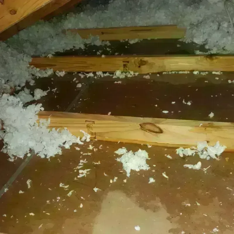 Attic Water Damage in Sumner County, KS