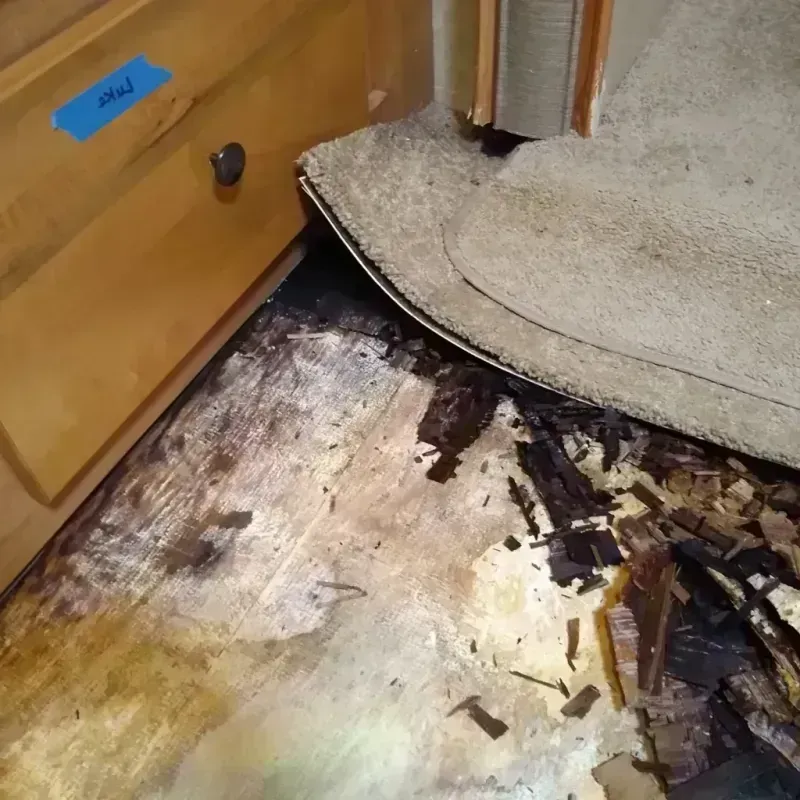 Wood Floor Water Damage in Sumner County, KS